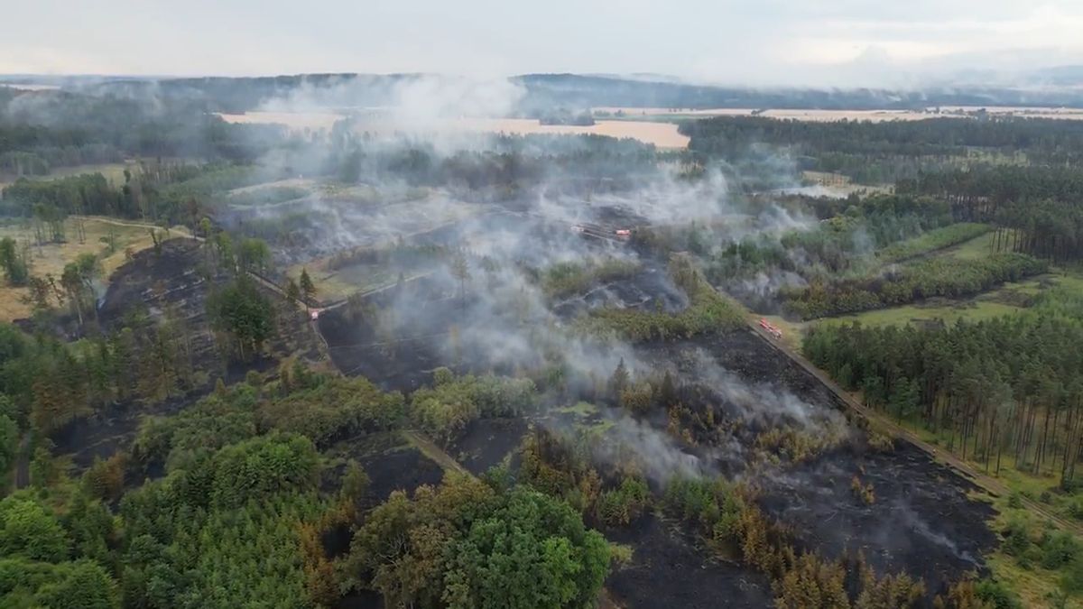 Letecký záběr ukazuje následky požáru lesa na Písecku